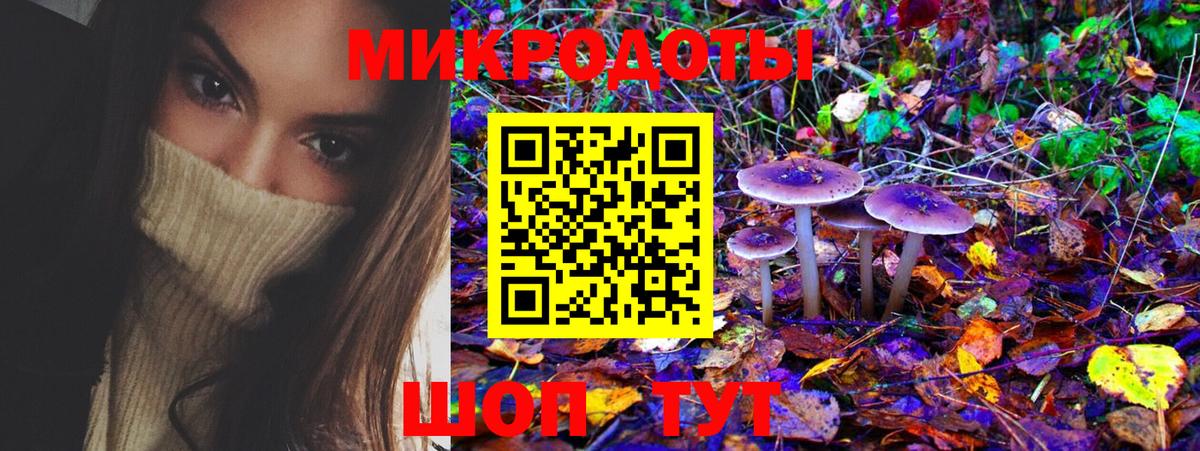 Псилоцибиновые грибы мухоморы Волжский