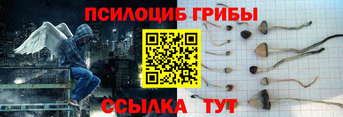 Волжский  Галлюциногенные грибы ЛСД  Вход с VPN  Галлюциногенные грибы Psilocybine cubensis 